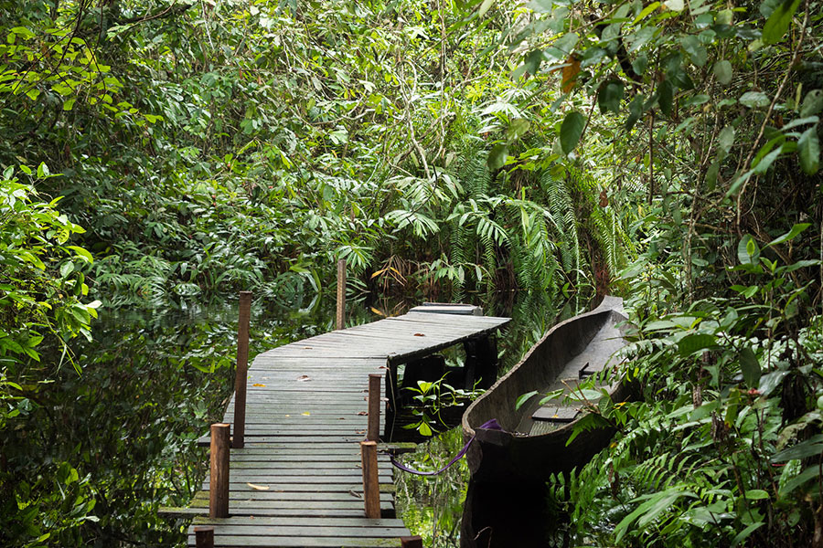 Congo-Brazzaville travel highlights